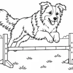 Tranh tô màu chó Border Collie nhảy qua chướng ngại vật
