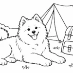 Tranh tô màu chó Samoyed bên lều cắm trại