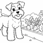 Tranh tô màu chó Schnauzer bên vườn rau