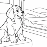 Tranh tô màu chó núi Bernese nhìn qua cửa sổ tàu